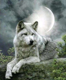 Wolf bei Mondschein Diamond Painting Motiv