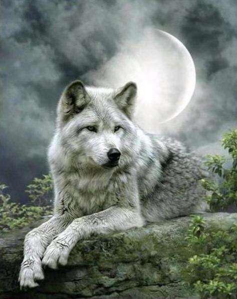 Wolf bei Mondschein Diamond Painting Motiv