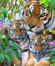 Tigerfamilie im Grünen Diamond Painting