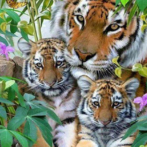 Tigerfamilie im Grünen Diamond Painting