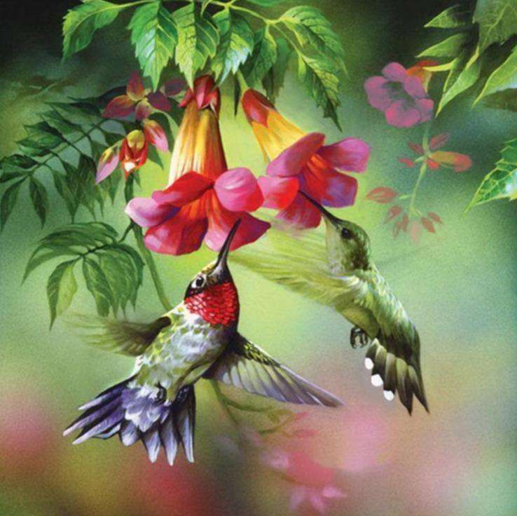 Kolibris im Sturzflug Diamond Painting