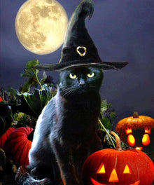 Schwarzer Kater Halloween Diamond Painting