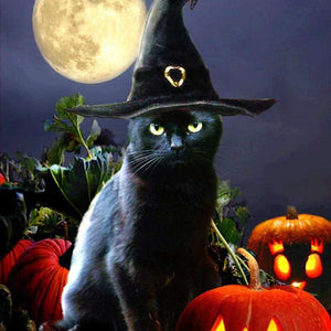 Schwarzer Kater Halloween Diamond Painting