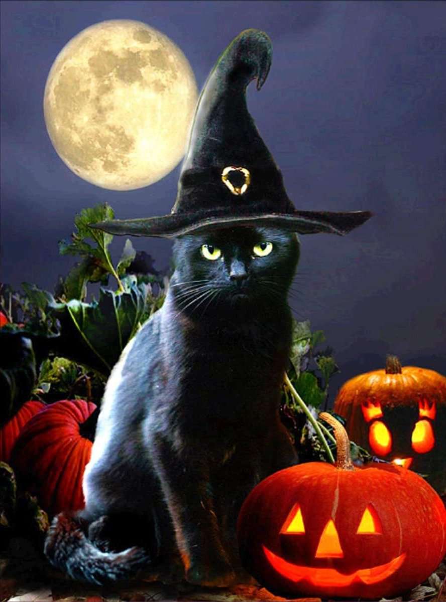 Schwarzer Kater Halloween Diamond Painting