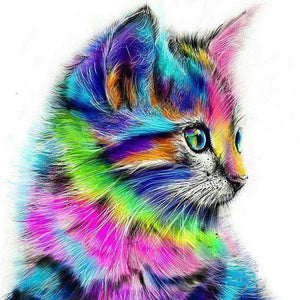 Bunte Katze Portrait Diamond Painting