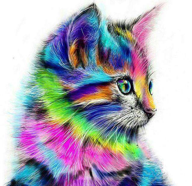 Bunte Katze Portrait Diamond Painting