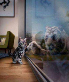 Kätzchen sieht Tiger - Diamond Painting mit Fensterreflexion