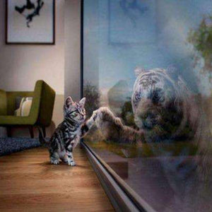 Kätzchen sieht Tiger - Diamond Painting mit Fensterreflexion