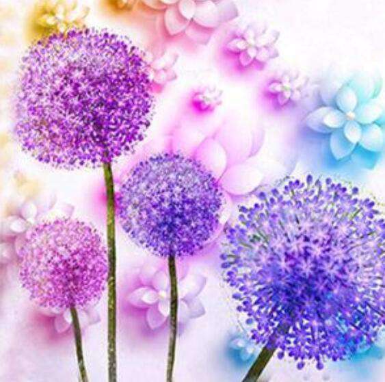 Lila Zierlauch Diamond Painting mit violetten Kugelblüten