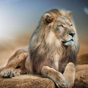 Löwe auf der Suche Diamond Painting