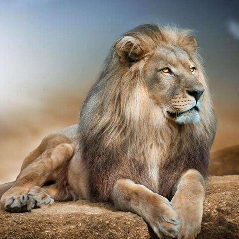 Löwe auf der Suche Diamond Painting