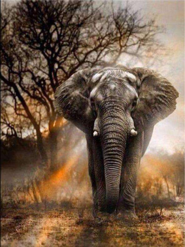 Elefant in Afrika-Landschaft Diamond Painting Motiv