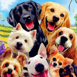Hunde Selfie Diamond Painting Gruppenmotiv