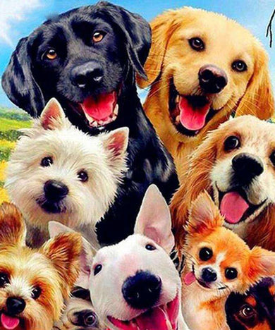Hunde Selfie Diamond Painting Gruppenmotiv
