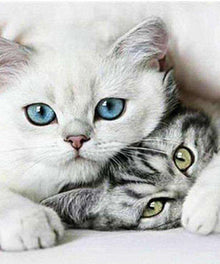 Süße Kätzchen Katzenmotiv Diamond Painting