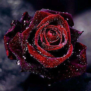 Dunkelrote Rose Diamond Painting mit Wassertropfen