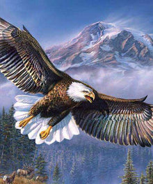 Weißkopfseeadler Diamond Painting über Berglandschaft