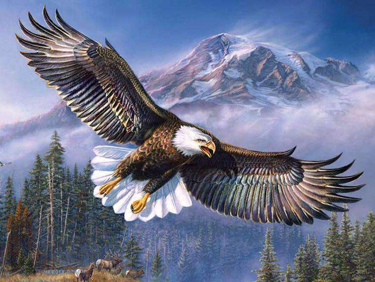 Weißkopfseeadler Diamond Painting über Berglandschaft