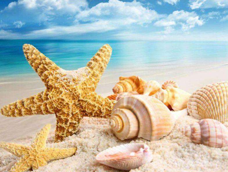 Muschelstrand Diamond Painting mit Seesternen und türkisblauem Meer