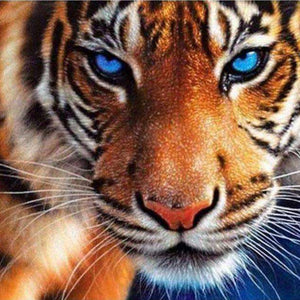 Tiger mit blauen Augen - Diamond Painting Tierporträt