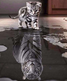 Kätzchen mit Tiger-Spiegelbild - Diamond Painting Tiermotiv