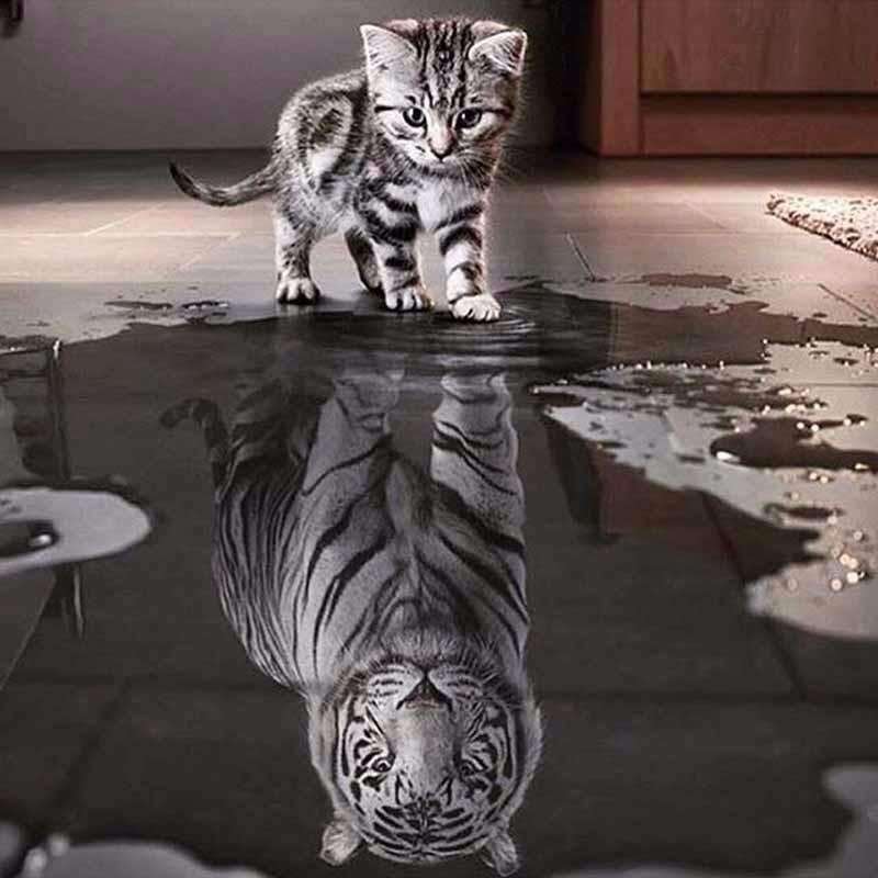 Kätzchen mit Tiger-Spiegelbild - Diamond Painting Tiermotiv