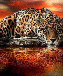 Leopardenspiegelung im Wasser Diamond Painting