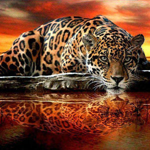 Leopardenspiegelung im Wasser Diamond Painting