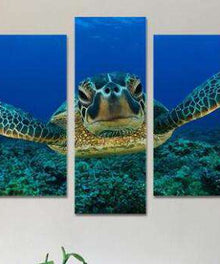 Schildkröte Pentaptychon Diamond Painting