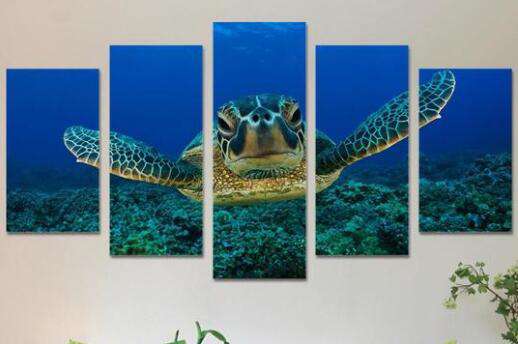 Schildkröte Pentaptychon Diamond Painting