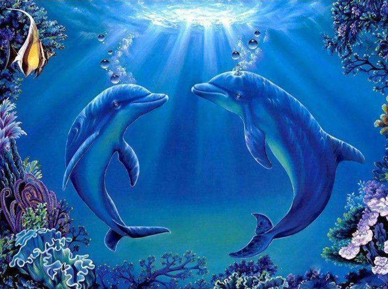 Delfine mit Sonnenstrahlen Diamond Painting im Meer