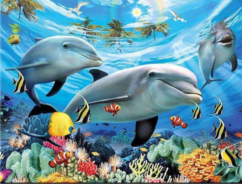 Delfine mit Fischen Diamond Painting