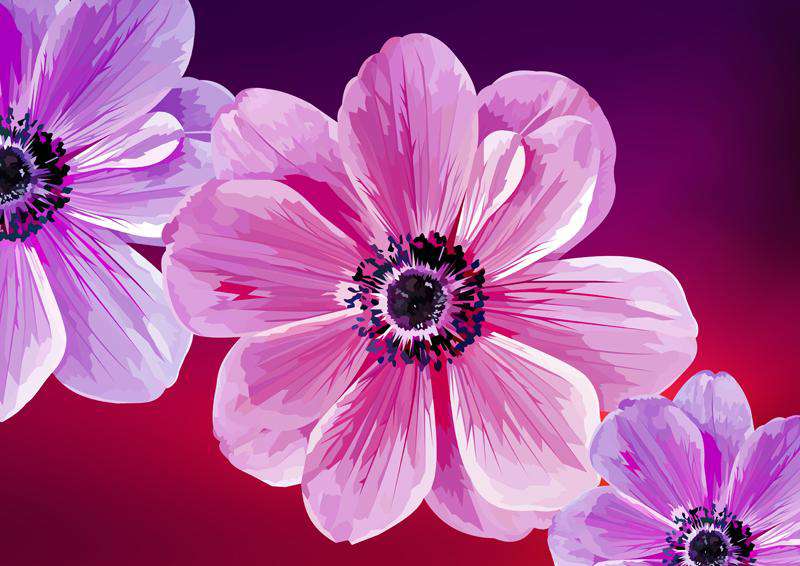 Drei Blumen Diamond Painting mit rosa Blüten