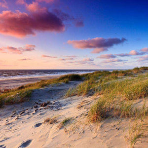 Dünenlandschaft am Meer Diamond Painting mit Strand