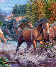 Galoppierende Pferde im Fluss Diamond Painting Motiv