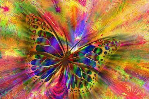 Explosion des Farbschmetterlings Diamond Painting mit Farbwirbel