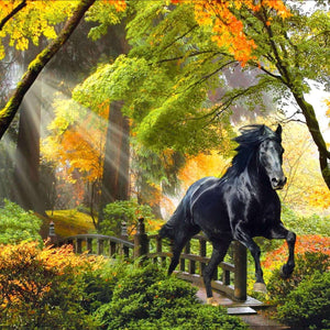 Schwarzes Pferd im Herbstwald Diamond Painting Motiv