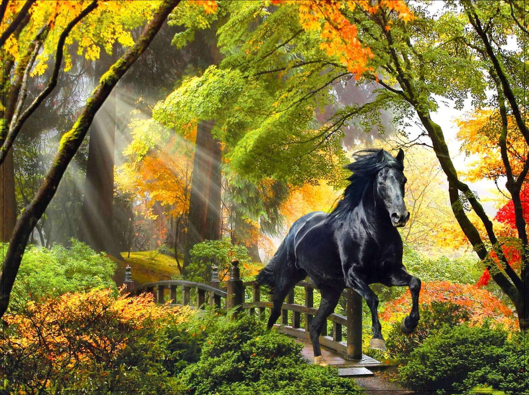 Schwarzes Pferd im Herbstwald Diamond Painting Motiv
