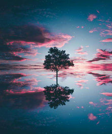 Baumreflexion Sonnenuntergang Diamond Painting