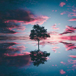 Baumreflexion Sonnenuntergang Diamond Painting