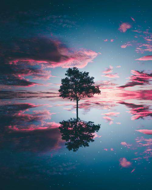 Baumreflexion Sonnenuntergang Diamond Painting