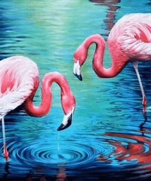Flamingos im Wasser Diamond Painting mit rosa Vögeln