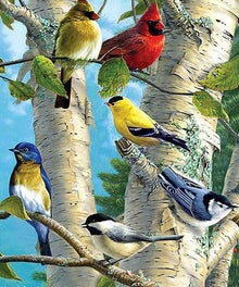 Farbige Vögel im Baum Diamond Painting mit Birken