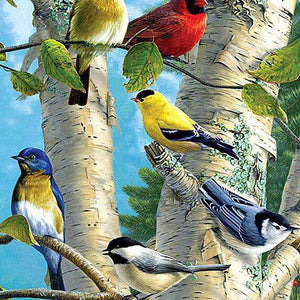 Farbige Vögel im Baum Diamond Painting mit Birken