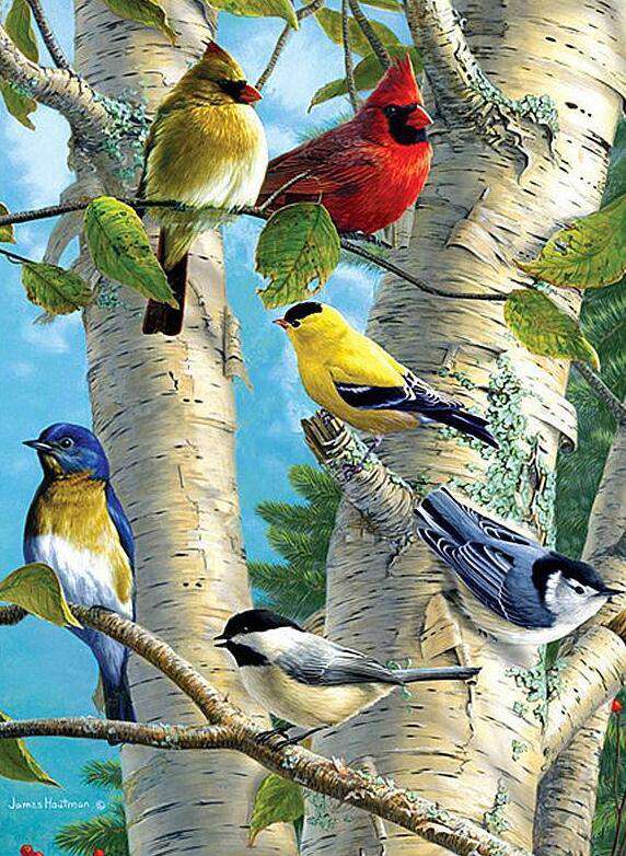 Farbige Vögel im Baum Diamond Painting mit Birken