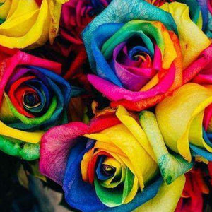 Farbiger Rosenstrauß Diamond Painting mit Regenbogenrosen
