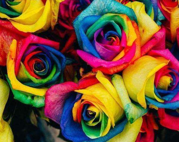 Farbiger Rosenstrauß Diamond Painting mit Regenbogenrosen