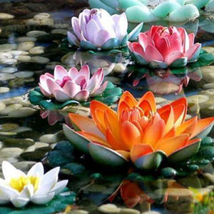 Farbige Seerosen Diamond Painting mit Wasserblumen