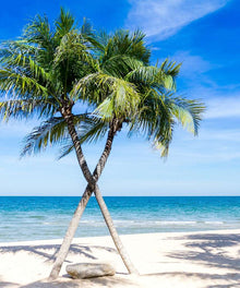 Palmen am Strand Diamond Painting mit Meer und hellem Sand