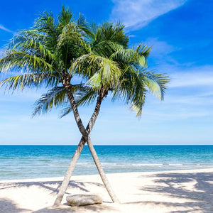 Palmen am Strand Diamond Painting mit Meer und hellem Sand